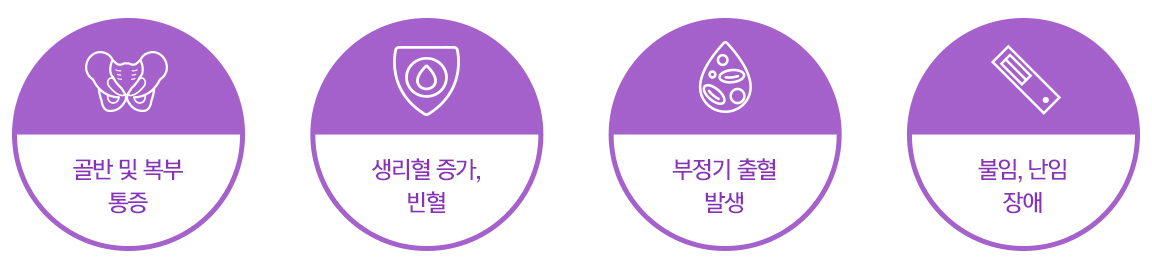 골반 및 복부 통증 / 생리혈 증가 빈혈 / 부정기 출혈 발생 / 불임 난임 장애