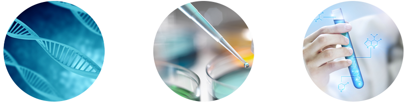 줄기세포 병합치료법 — DNA, 실험, 시험관